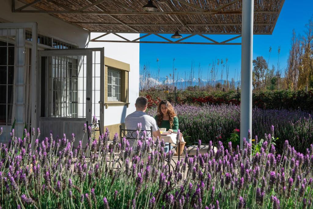 Boutique Vineyard and Wine Lodge — photo 1