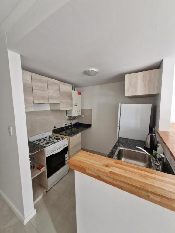 Agradable departamento photo 3