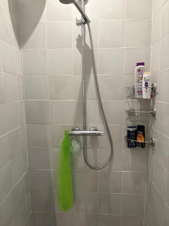 Room with Garden in Ottakringer with Shared Bathroom photo 3