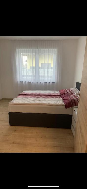 SD-Apartment photo 2