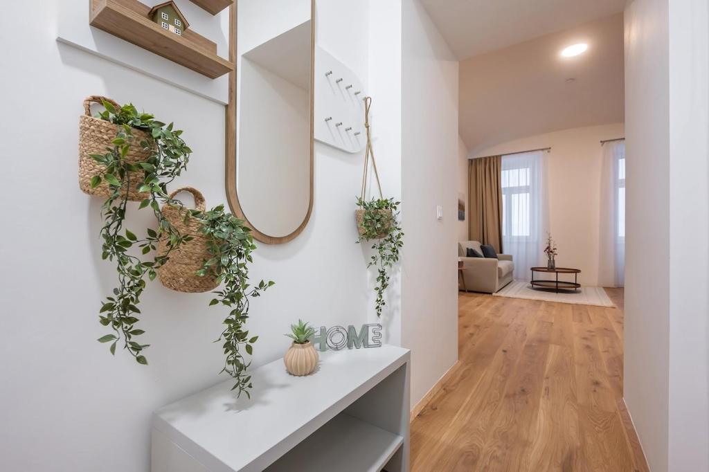 Apartment Luxe - right near Vienna's Old City photo 3