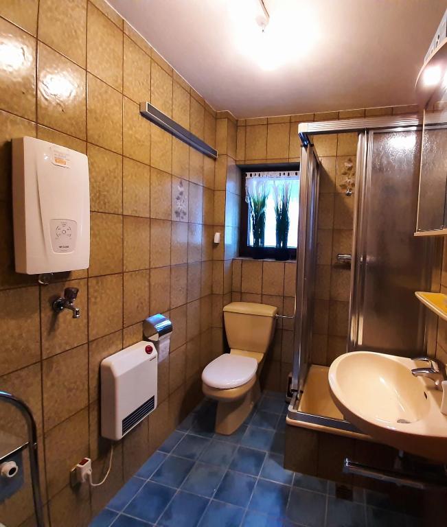 Susis Apartment Altenmarkt photo 3