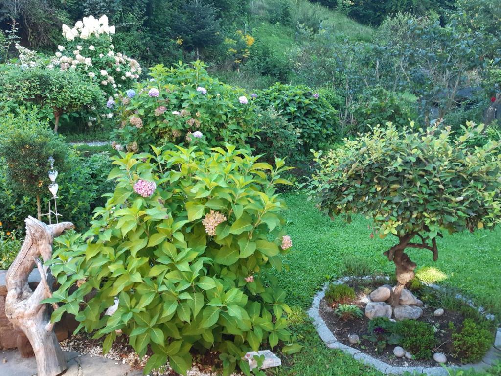 TOP Garden View — photo 1