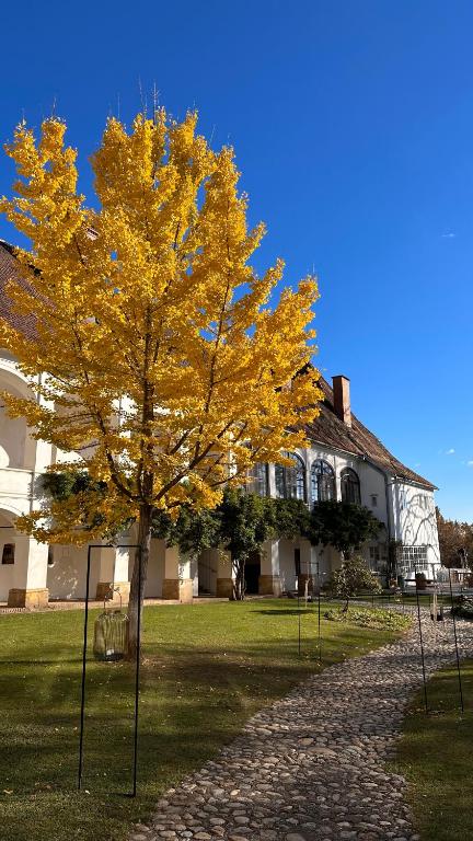 Schloss Welsdorf — photo 1