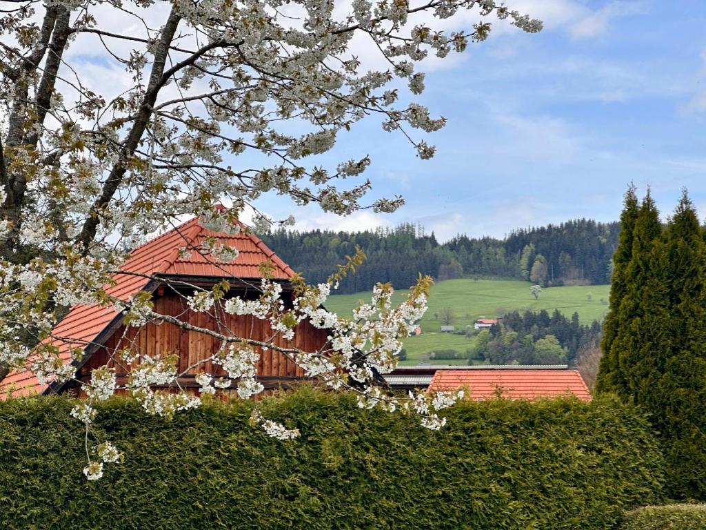 Garden Chalet - Lakes & Peaks - Scharnstein photo 3
