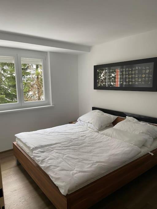 Seewohnung mit direktem Seezugang-Skiliftnähe photo 2