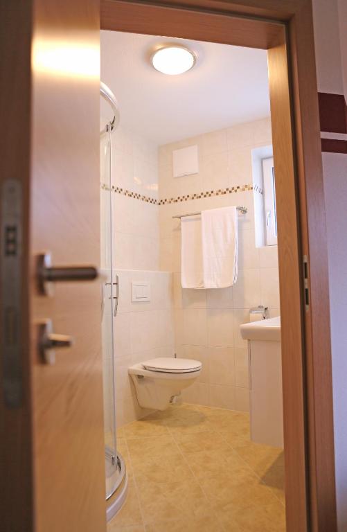 Zeilner Dachstein Apartment photo 3