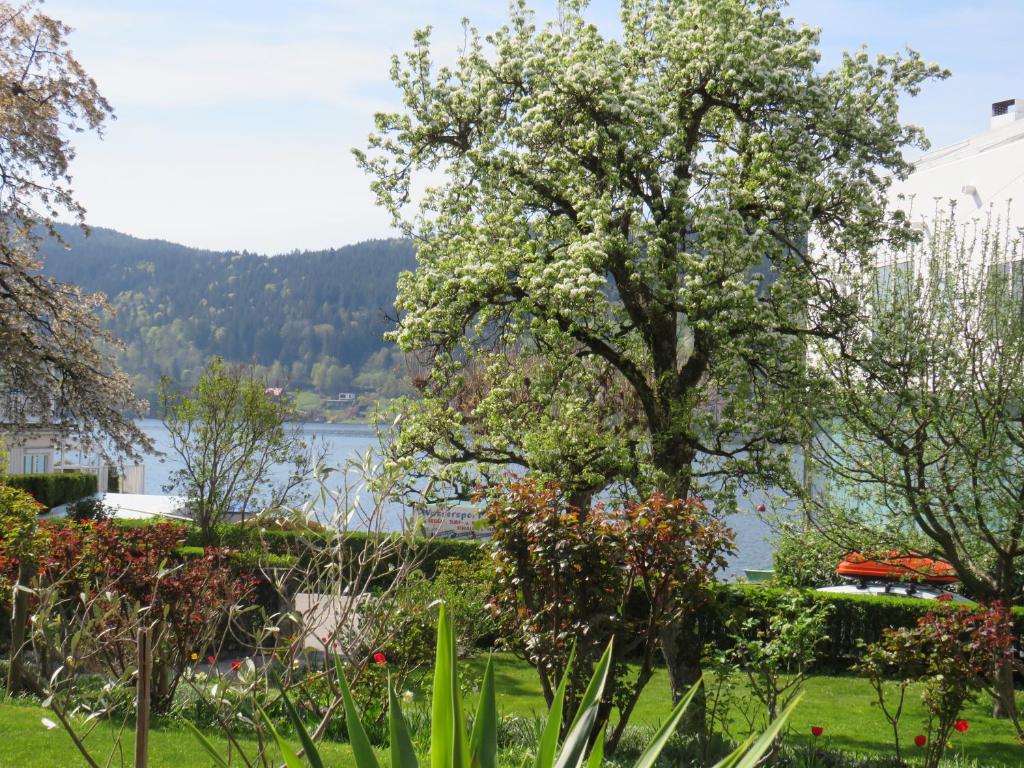 Sportpension Strobl — photo 1