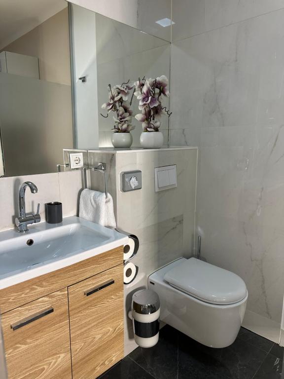 1st City Apartments photo 3