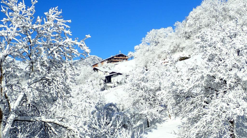 Zirbenchalet Obergruben photo 2