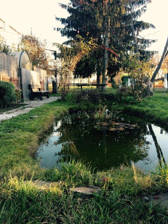 1 Zimmer Wohnung mit Balkon photo 2