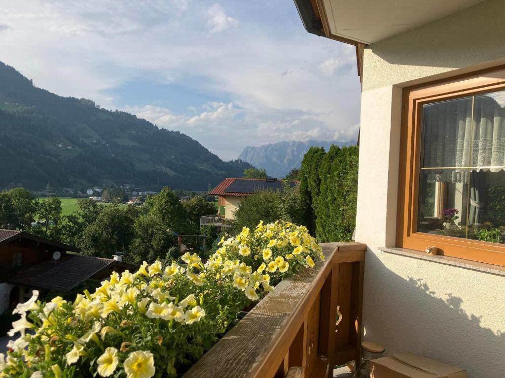 Ferienwohnung für alle Sportbegeisterten photo 2