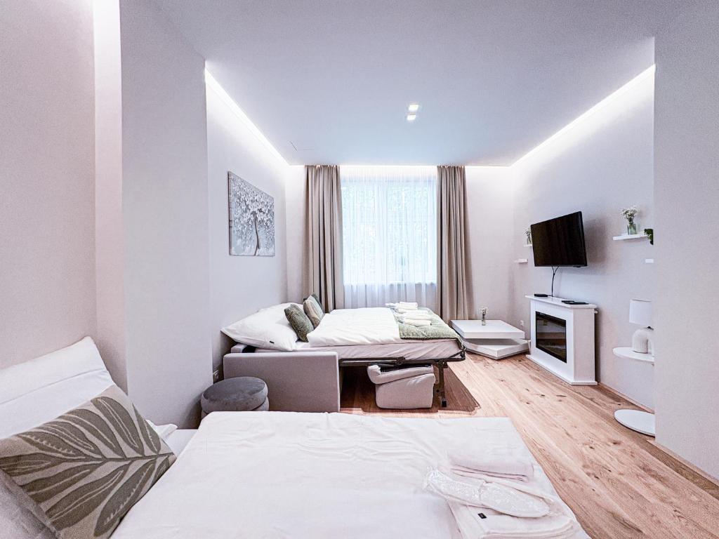 Apartment Magnificence in Vienna's City Center photo 2