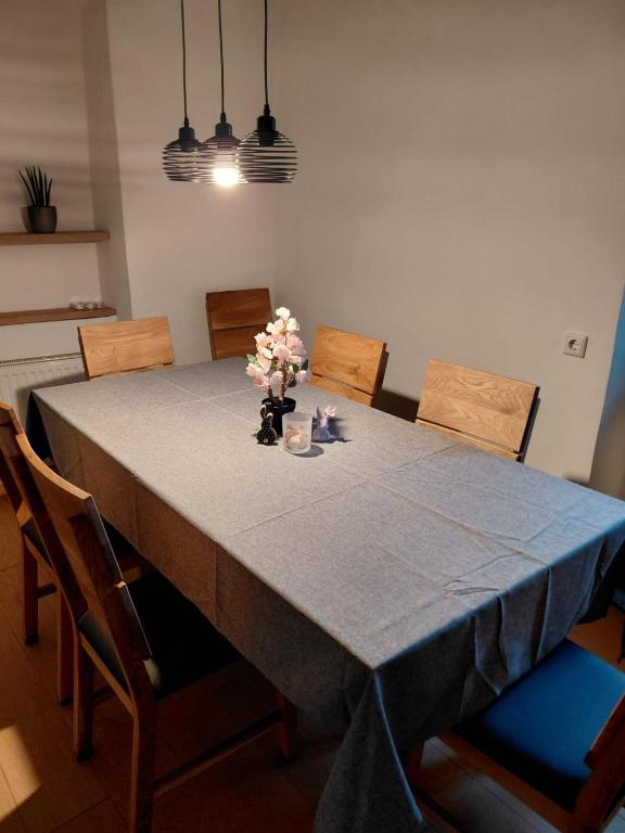 Feudale Ferienwohnung Mureck Zentrum — photo 1