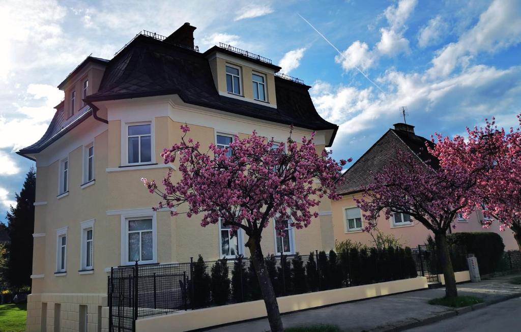 Villa Kreuzbergl - Apartment — photo 1