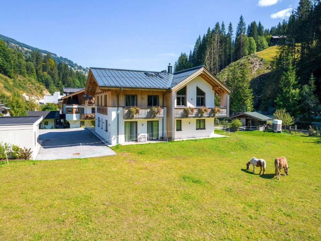 Chalet in Saalbach near Ski Lift — photo 1