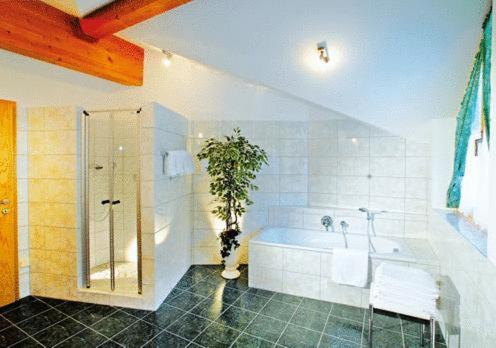Tonis Appartements am Achensee photo 3