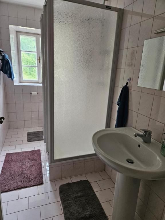 Wohnung im Nationalpark Kalkalpen 3 photo 3
