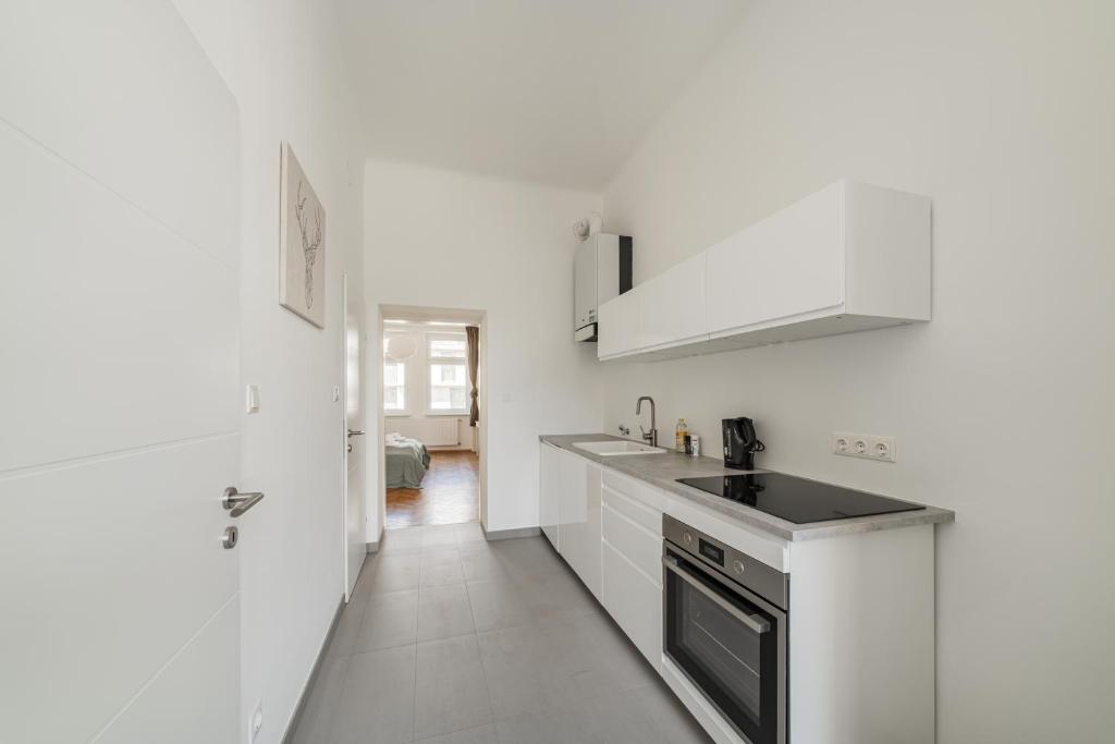 spacious studio in vienna photo 3