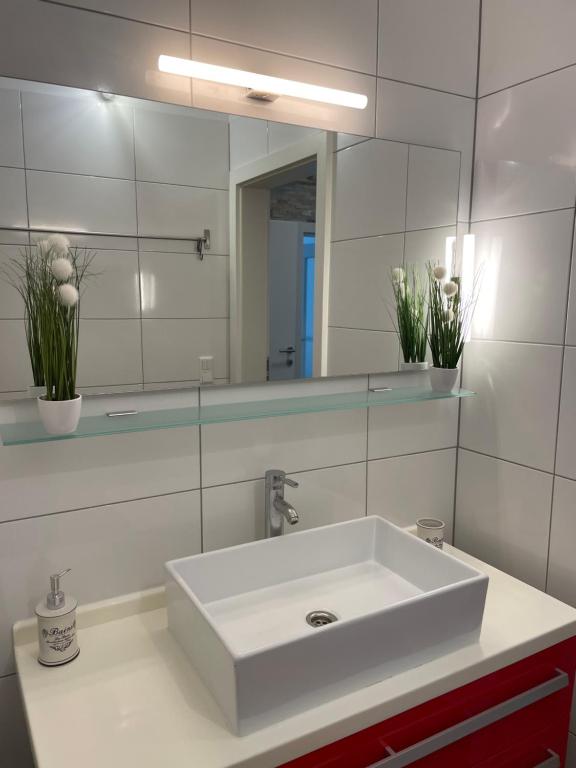 Elegant apartament in central location Graz-free parking photo 3