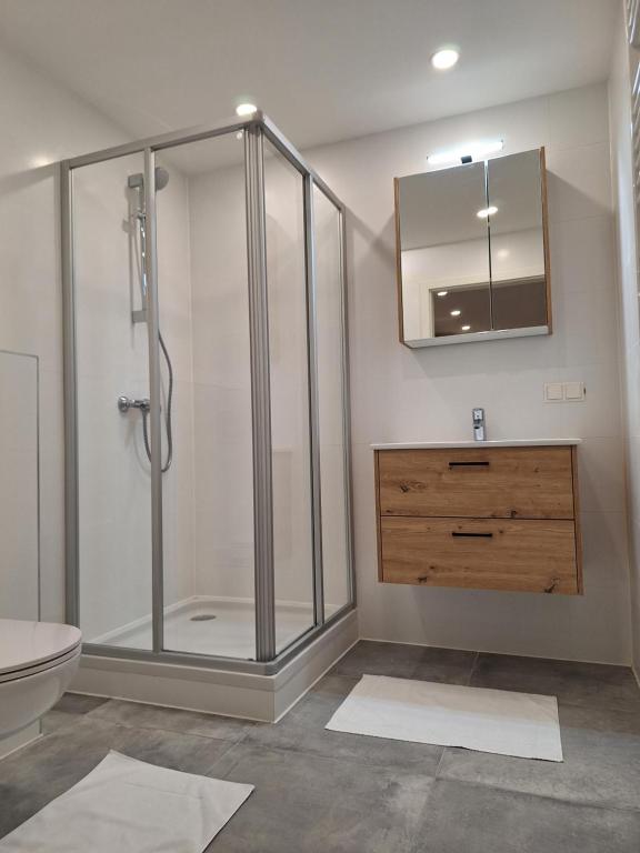 Semmering Apartment photo 3