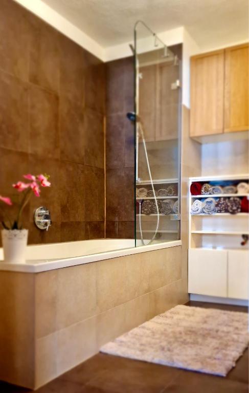 Saal life Apartment photo 3