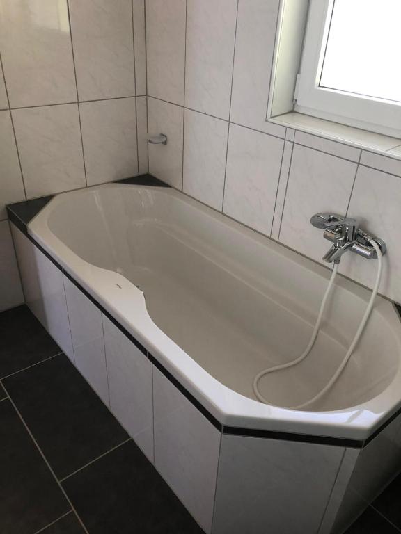 Seeblick photo 3