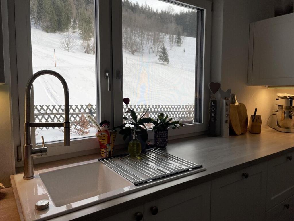 Schneealpe photo 3
