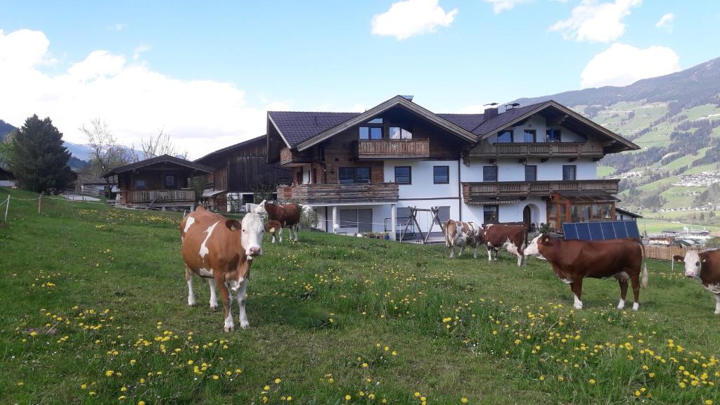 Schorpenhof — photo 1