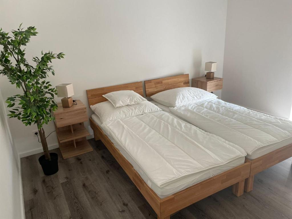 Sorinas Home - Comfortable Apartment near Graz - Free Parking photo 2