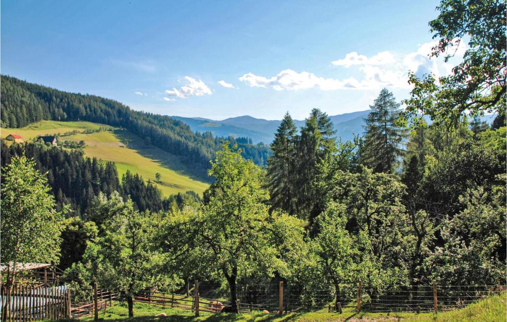 Ferienhaus Bad St Leonhard photo 2