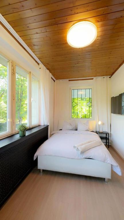 Affordable Rooms in a Villa with Garden near Danube For Long stay photo 3