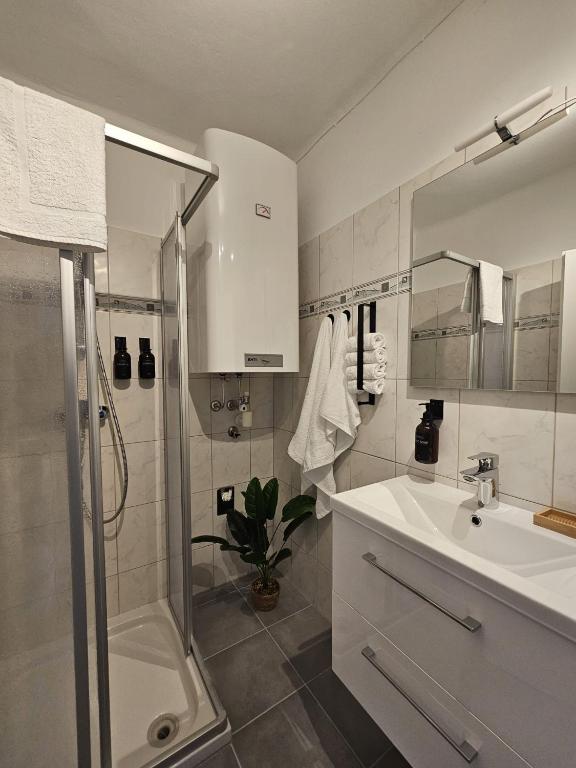 Stadtoase Wels II photo 3