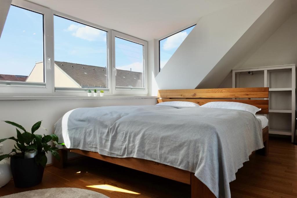 Triple A Apartments photo 2