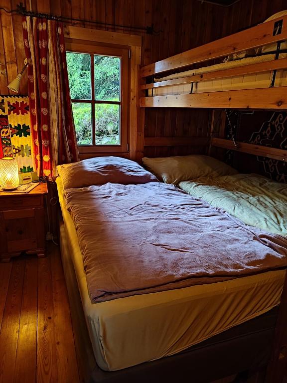Schalale photo 2