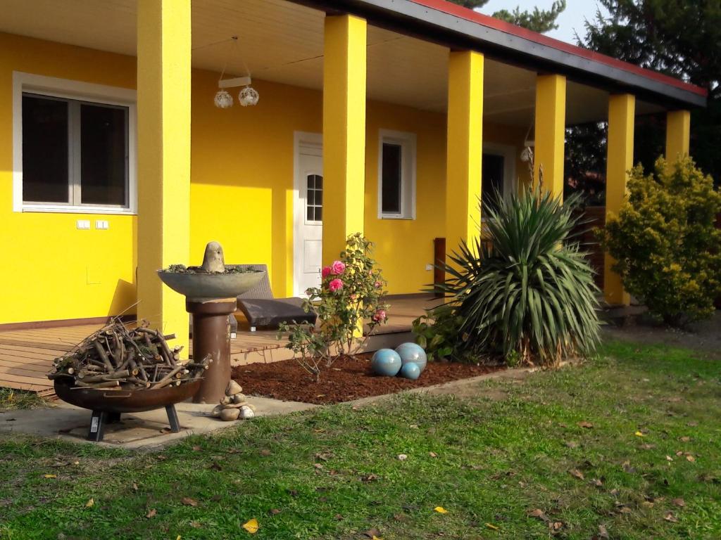 Bungalow at Lake Alte Donau — photo 1