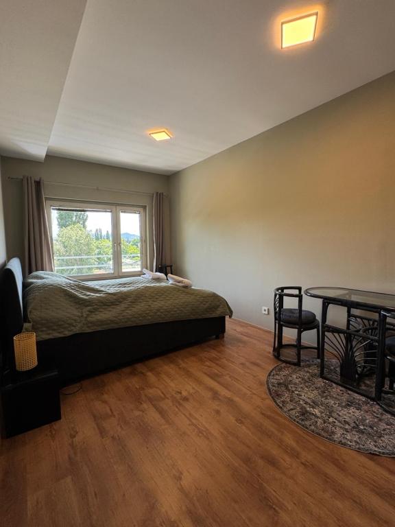 Spacious Bohemian City Apartment Near Castle Schönbrunn photo 2