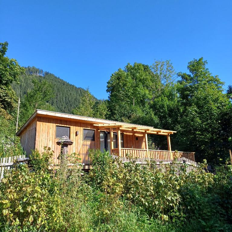 Tiny House am Steinergut — photo 1