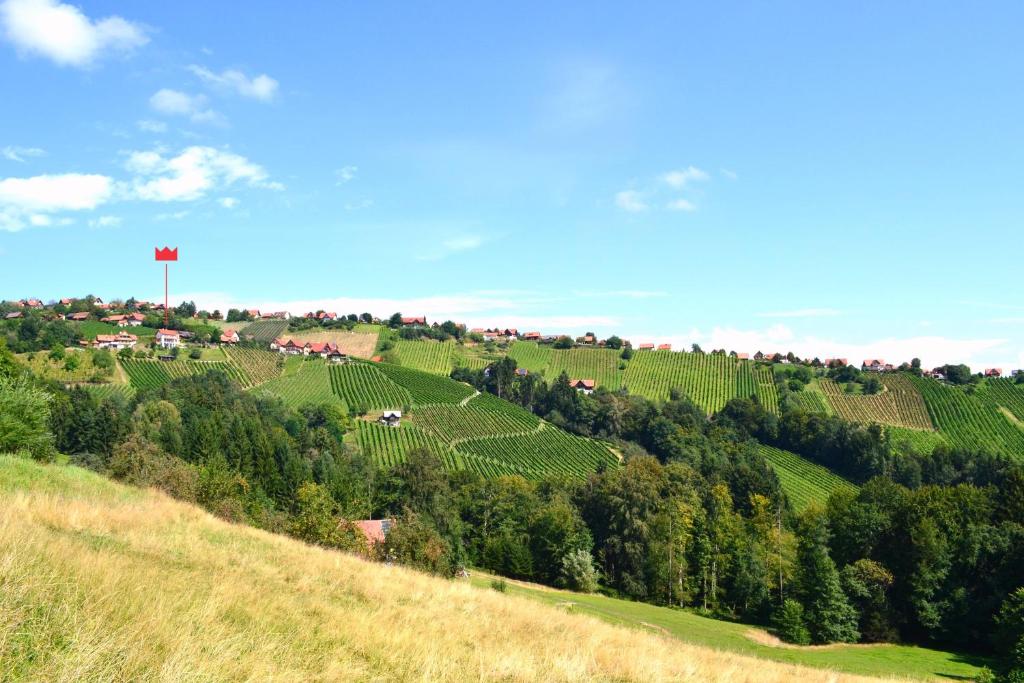 Schilcher-Residenz — photo 1