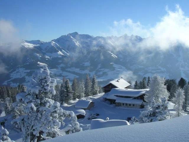 Steinerhaus Berggasthof photo 2