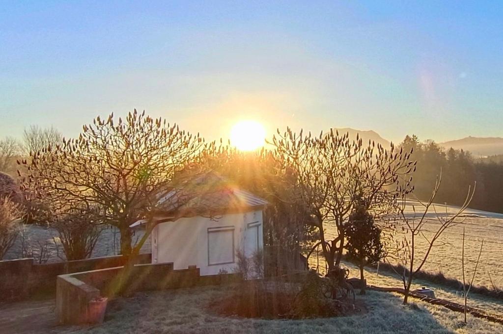 Single Tiny House Salzkammergut — photo 1