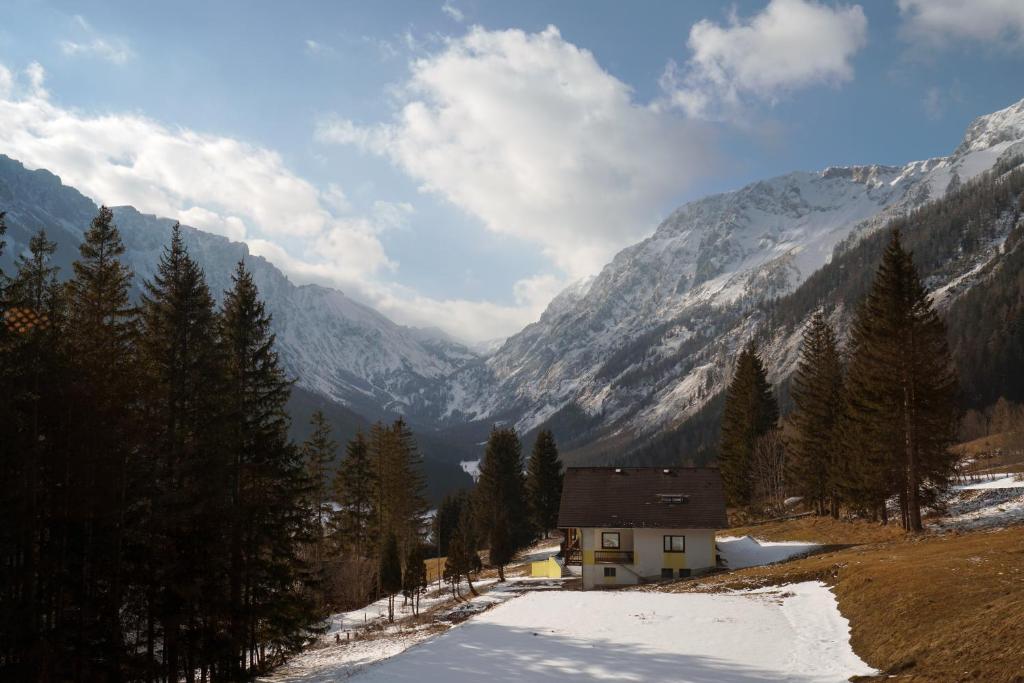 SCHUSTER's ALPENPANORAMA photo 2
