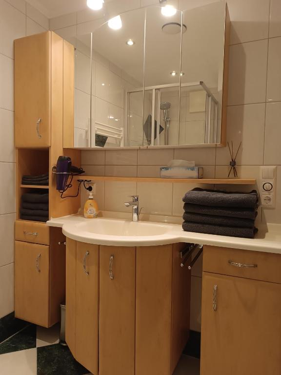 Tritscher's Appartement Ramsau Dachstein photo 3