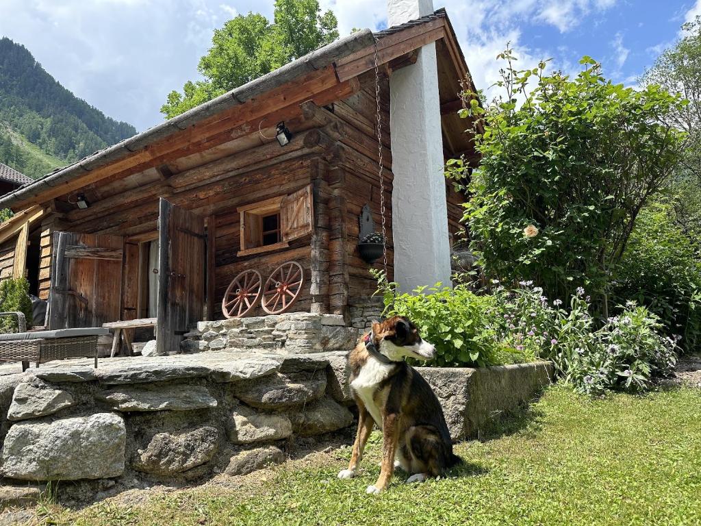 Romantikhütte — photo 1