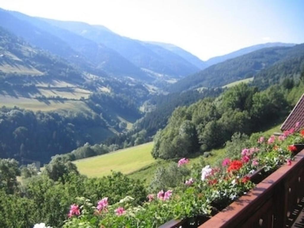 Romantisches Bauernhaus in 1100m Höhe zw Katschberg und Millstätter See photo 2