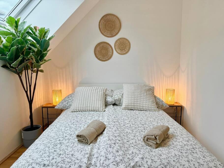 Rooftop Apartment with Balcony & Free Parking photo 2