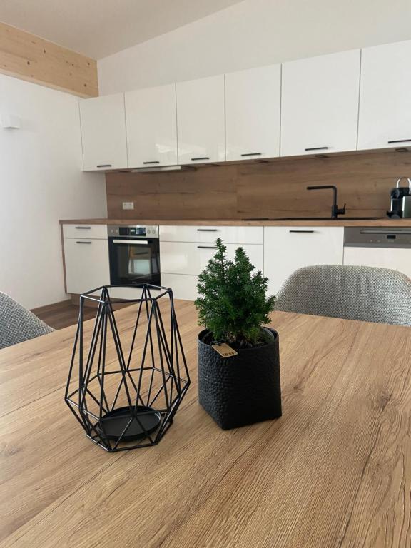 Ski & Bike Appartements — photo 1