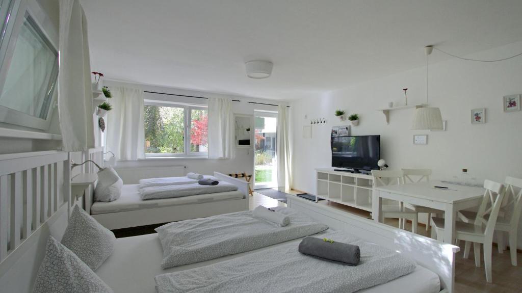 Innsbruck Apartment Nigler — photo 1