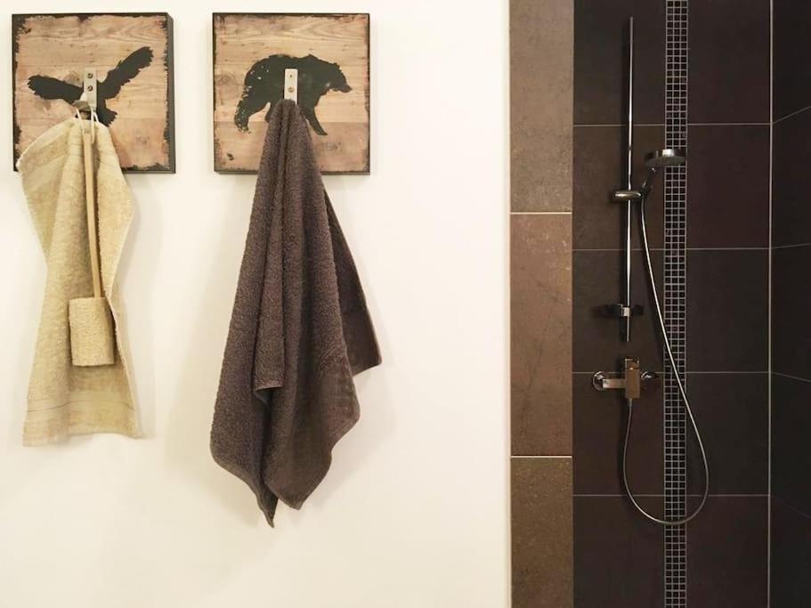Traumhaftes Appartement mitten im Skigebiet photo 3