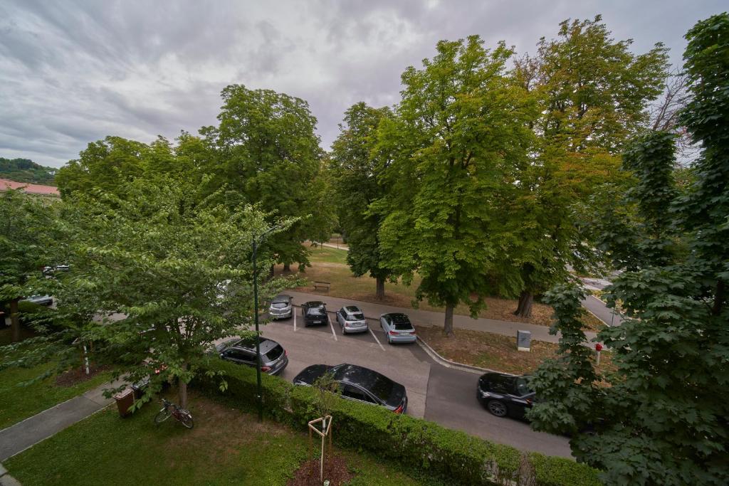 Smile Apartments am Stadtpark photo 3